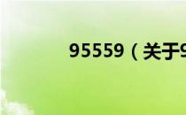 95559（关于95559的介绍）