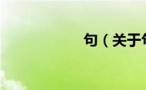 句（关于句的介绍）
