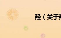 羟（关于羟的介绍）