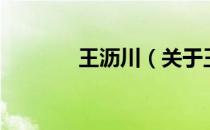 王沥川（关于王沥川的介绍）