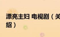 漂亮主妇 电视剧（关于漂亮主妇 电视剧的介绍）