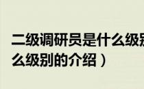 二级调研员是什么级别（关于二级调研员是什么级别的介绍）