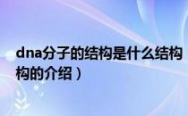 dna分子的结构是什么结构（关于dna分子的结构是什么结构的介绍）