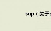sup（关于sup的介绍）