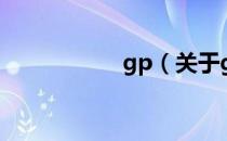 gp（关于gp的介绍）
