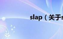slap（关于slap的介绍）
