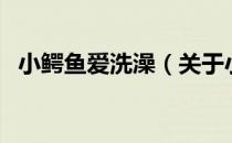 小鳄鱼爱洗澡（关于小鳄鱼爱洗澡的介绍）