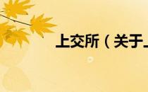 上交所（关于上交所的介绍）