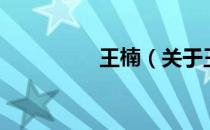 王楠（关于王楠的介绍）