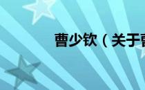 曹少钦（关于曹少钦的介绍）