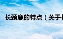 长颈鹿的特点（关于长颈鹿的特点的介绍）