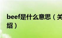 beef是什么意思（关于beef是什么意思的介绍）