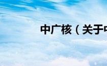 中广核（关于中广核的介绍）