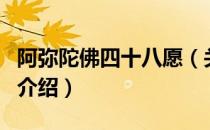 阿弥陀佛四十八愿（关于阿弥陀佛四十八愿的介绍）
