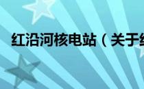 红沿河核电站（关于红沿河核电站的介绍）