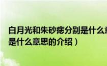 白月光和朱砂痣分别是什么意思（关于白月光和朱砂痣分别是什么意思的介绍）