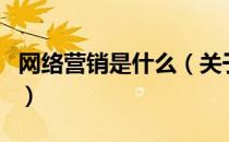 网络营销是什么（关于网络营销是什么的介绍）