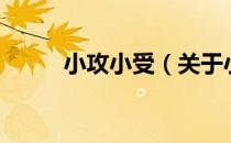 小攻小受（关于小攻小受的介绍）