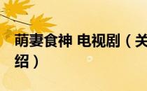 萌妻食神 电视剧（关于萌妻食神 电视剧的介绍）