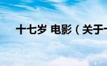 十七岁 电影（关于十七岁 电影的介绍）
