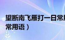 望断南飞雁打一日常用品（望断南飞雁打一日常用语）