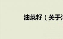 油菜籽（关于油菜籽的介绍）