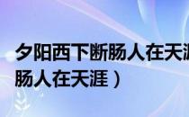 夕阳西下断肠人在天涯是谁写的（夕阳西下断肠人在天涯）