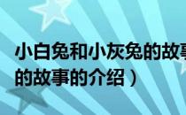 小白兔和小灰兔的故事（关于小白兔和小灰兔的故事的介绍）
