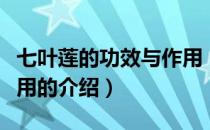 七叶莲的功效与作用（关于七叶莲的功效与作用的介绍）