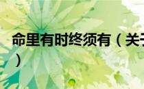 命里有时终须有（关于命里有时终须有的介绍）