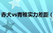 赤犬vs青稚实力差距（赤犬vs青稚是哪一集）