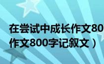 在尝试中成长作文800字小学（在尝试中成长作文800字记叙文）