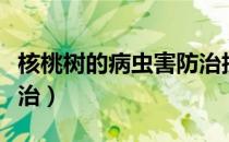 核桃树的病虫害防治技术（核桃树的病虫害防治）