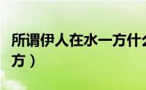 所谓伊人在水一方什么意思（所谓伊人在水一方）