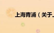 上海青浦（关于上海青浦的介绍）