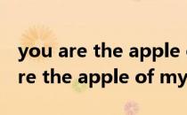 you are the apple of my eye翻译（you are the apple of my eye）