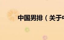 中国男排（关于中国男排的介绍）