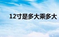 12寸是多大乘多大（12寸是多大尺寸）