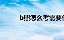 b照怎么考需要什么条件（B照）