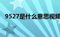 9527是什么意思视频（9527是什么意思）