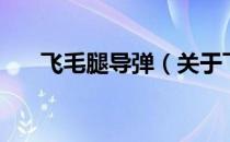 飞毛腿导弹（关于飞毛腿导弹的介绍）