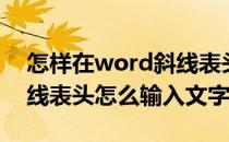 怎样在word斜线表头里输入文字（word斜线表头怎么输入文字）