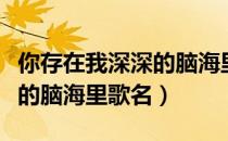 你存在我深深的脑海里谁唱的（你存在我深深的脑海里歌名）