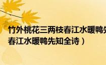 竹外桃花三两枝春江水暖鸭先知全诗断句（竹外桃花三两枝春江水暖鸭先知全诗）