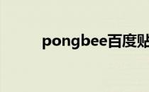 pongbee百度贴吧（pongbee）