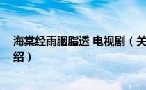 海棠经雨胭脂透 电视剧（关于海棠经雨胭脂透 电视剧的介绍）