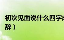 初次见面说什么四字成语（初次见面说什么敬辞）