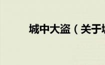 城中大盗（关于城中大盗的介绍）