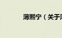薄熙宁（关于薄熙宁的介绍）