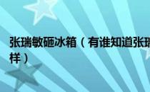 张瑞敏砸冰箱（有谁知道张瑞敏砸冰箱的故事 据体情况是怎样）